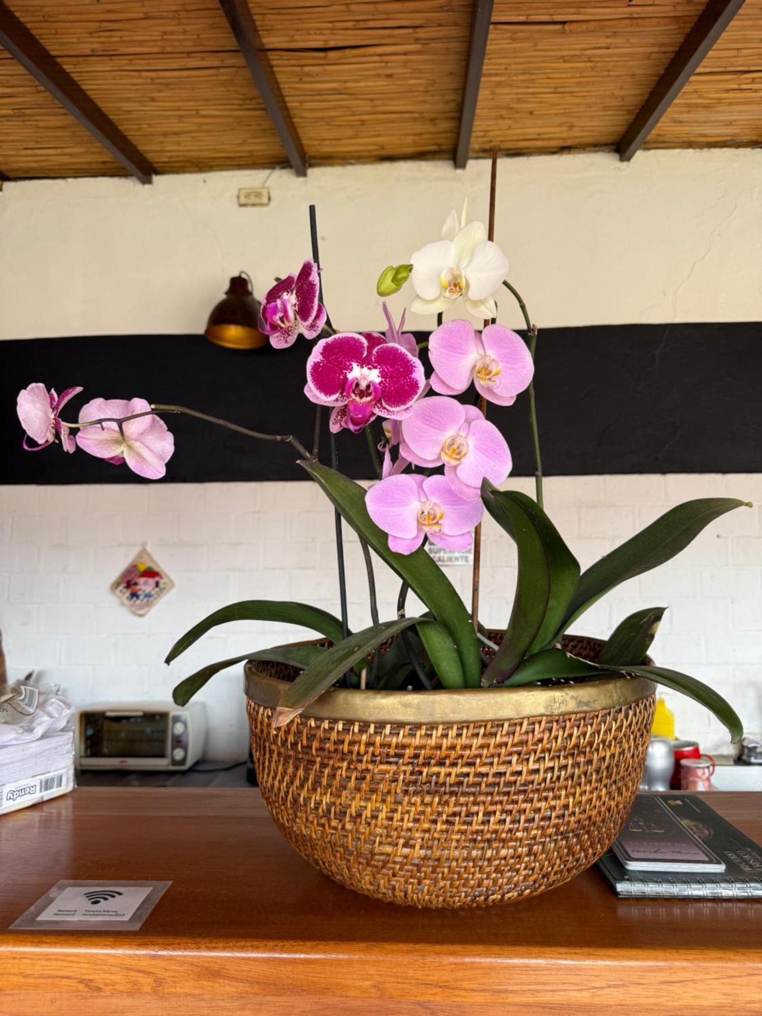 Pancha Mama Hotel Boutique Villa de Leyva Eksteriør billede